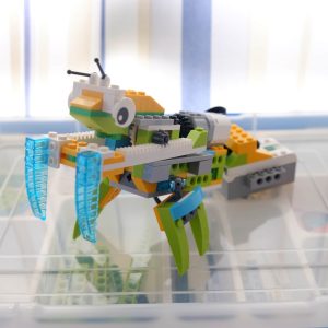 Mantis