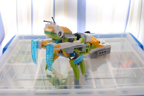 Mantis